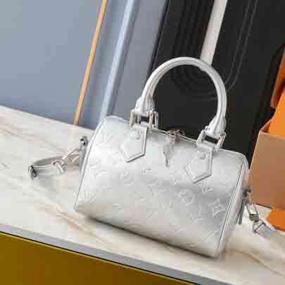 LV handbag 027