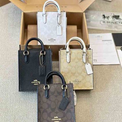 Arc de Triomphe bag 037