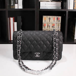 Chanel bags 013