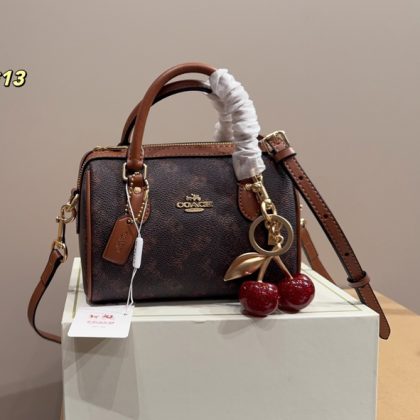 Coach Bags 010